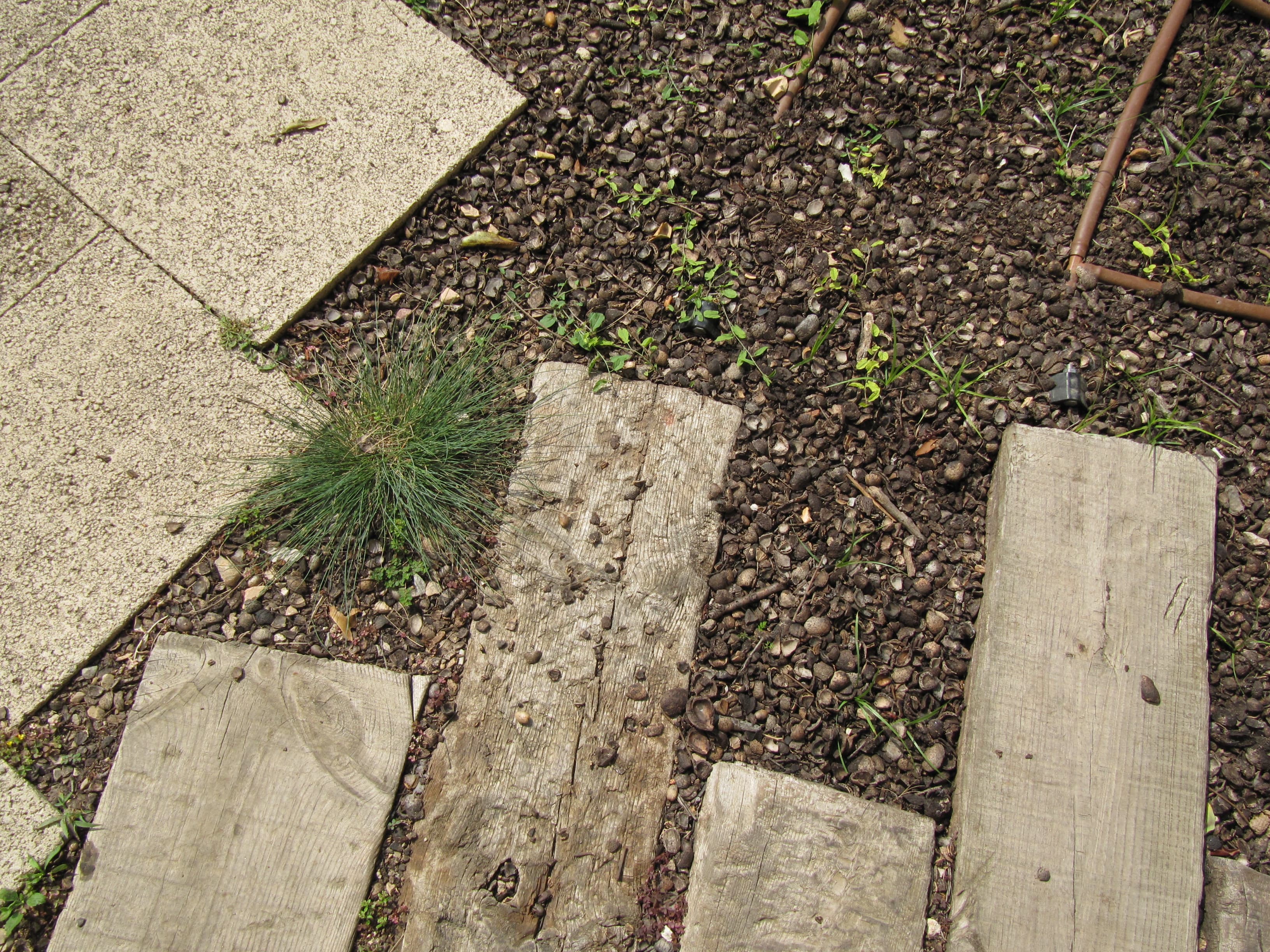 Misericordia garden recovery 5